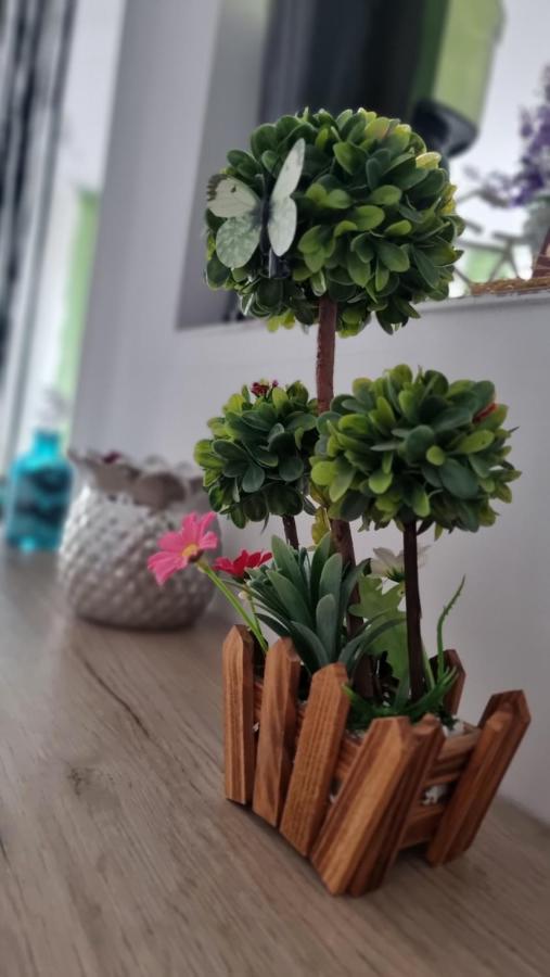 Apartament Daria Năvodari Esterno foto